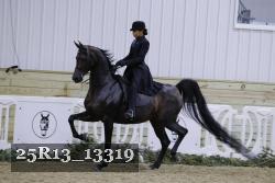 25R13_13319 thumbnail