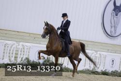 25R13_13320 thumbnail