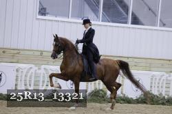 25R13_13321 thumbnail