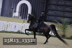 25R13_13322 thumbnail