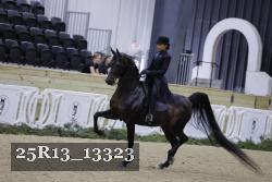 25R13_13323 thumbnail