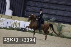 25R13_13324 thumbnail