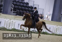 25R13_13325 thumbnail