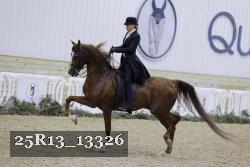 25R13_13326 thumbnail