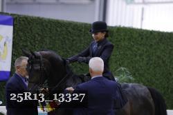 25R13_13327 thumbnail