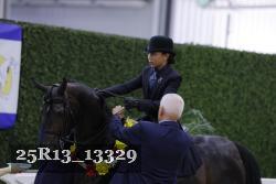 25R13_13329 thumbnail