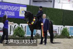 25R13_13332 thumbnail