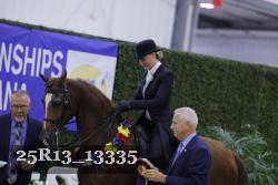 25R13_13335 thumbnail