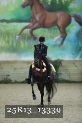 25R13_13339 thumbnail