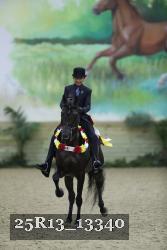 25R13_13340 thumbnail
