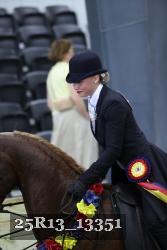 25R13_13351 thumbnail