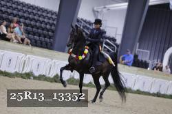 25R13_13352 thumbnail