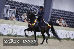 25R13_13353 thumbnail