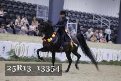 25R13_13354 thumbnail