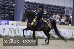 25R13_13355 thumbnail