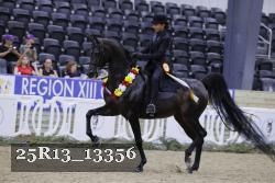25R13_13356 thumbnail