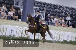 25R13_13357 thumbnail