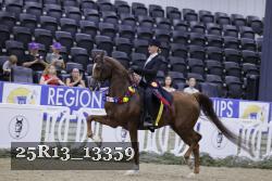 25R13_13359 thumbnail