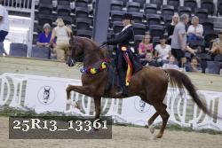 25R13_13361 thumbnail