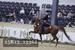25R13_13362 thumbnail
