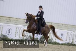 25R13_13363 thumbnail