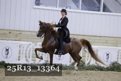 25R13_13364 thumbnail