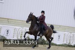 25R13_13365 thumbnail