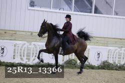 25R13_13366 thumbnail