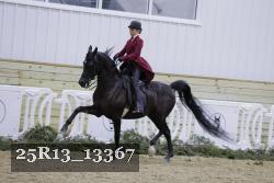 25R13_13367 thumbnail