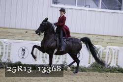25R13_13368 thumbnail