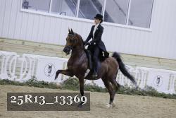 25R13_13369 thumbnail