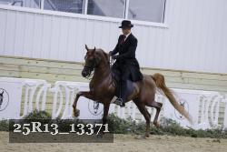 25R13_13371 thumbnail