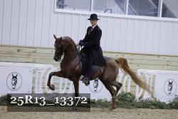25R13_13372 thumbnail