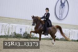 25R13_13373 thumbnail