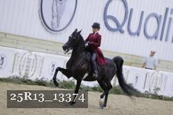 25R13_13374 thumbnail