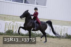 25R13_13375 thumbnail