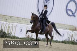 25R13_13376 thumbnail