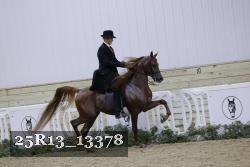 25R13_13378 thumbnail