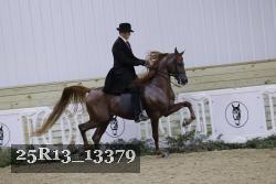 25R13_13379 thumbnail