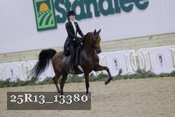 25R13_13380 thumbnail