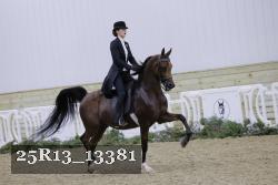 25R13_13381 thumbnail