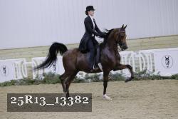 25R13_13382 thumbnail