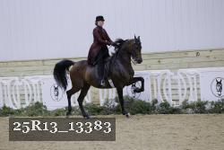 25R13_13383 thumbnail