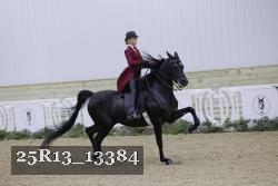 25R13_13384 thumbnail