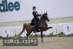 25R13_13385 thumbnail