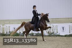 25R13_13386 thumbnail