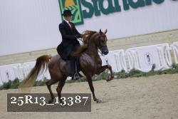 25R13_13387 thumbnail