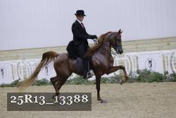 25R13_13388 thumbnail