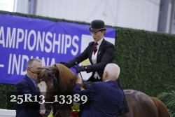25R13_13389 thumbnail