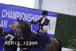 25R13_13396 thumbnail